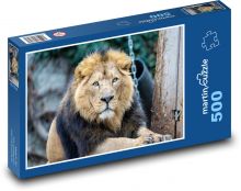 Asian lion - mammal, animal Puzzle of 500 pieces - 46 x 30 cm 