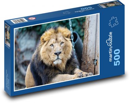 Asijský lev - savec, zvíře - Puzzle 500 dílků, rozměr 46x30 cm
