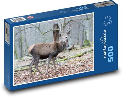 Hirsch - Tierwelt, Wald - Puzzle - 500 Teile