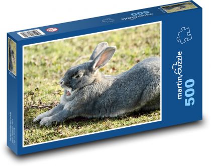 Kaninchen - Tier, Frühling - Puzzle - 500 Teile