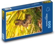 Rabbit - rodent, animal Puzzle of 500 pieces - 46 x 30 cm