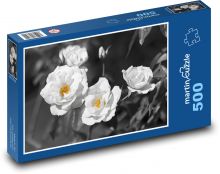 Biele ruže - kvety, kvety Puzzle 500 dielikov - 46 x 30 cm 