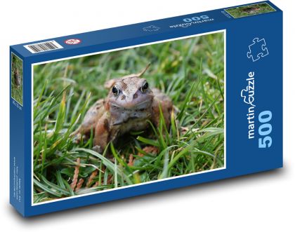 Žába - obojživelník, příroda  - puzzle 500 dílků