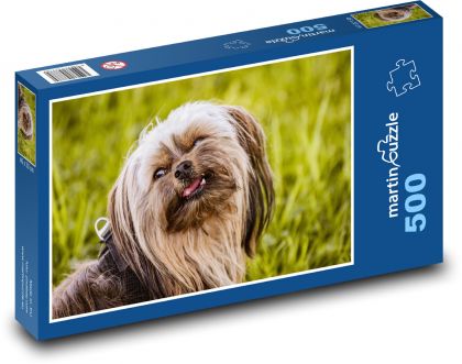 Yorkshire Terrier - Hund, Tier - Puzzle - 500 Teile