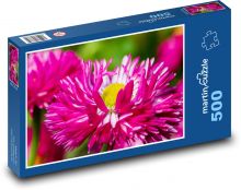 Astra - růžový květ, rostlina Puzzle 500 dílků - 46 x 30 cm