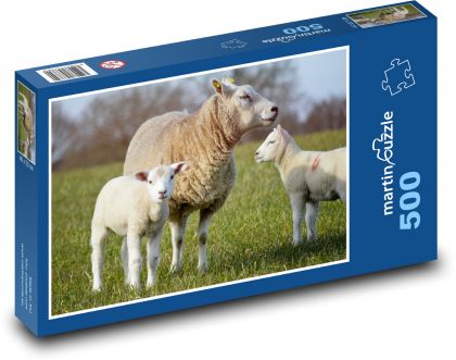 Sheep - lambs, animals - Puzzle of 500 pieces, size 46x30 cm 