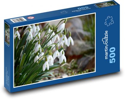 Snowdrops - white flowers, flowers - Puzzle of 500 pieces, size 46x30 cm 