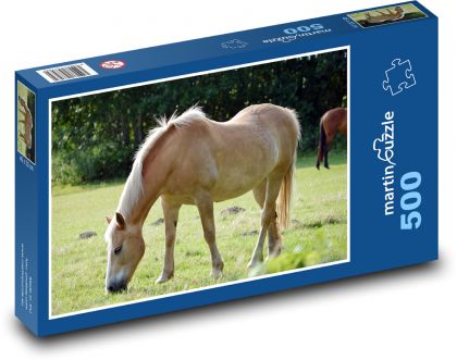 Kůň - pastvina, zvíře - Puzzle 500 dílků, rozměr 46x30 cm