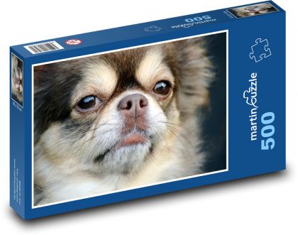 Chihuahua - dog, pet - Puzzle of 500 pieces, size 46x30 cm 