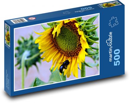 Sunflower - flower, flower - Puzzle of 500 pieces, size 46x30 cm 