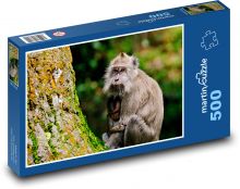 Opice s mládětem Puzzle 500 - 46x30 cm