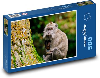 Małpa z młodym - Puzzle 500 elementów, rozmiar 46x30 cm