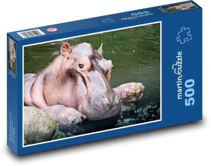 Hipopotam w wodzie - zwierzę, ssak - Puzzle 500 elementów, rozmiar 46x30 cm