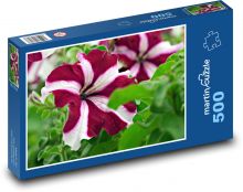 Petúnie - květiny, zahrada Puzzle 500 dílků - 46 x 30 cm