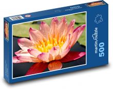 Water lily - aquatic plant, flower Puzzle of 500 pieces - 46 x 30 cm 