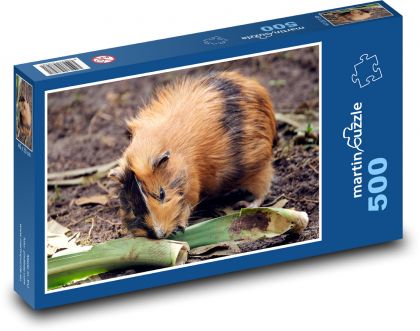 Morča - zviera, cicavec - Puzzle 500 dielikov, rozmer 46x30 cm 