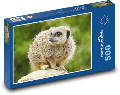 Surikata - Tier, Säugetier - Puzzle - 500 Teile
