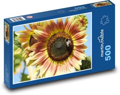 Slunečnice - květina, květ - Puzzle 500 dílků, rozměr 46x30 cm