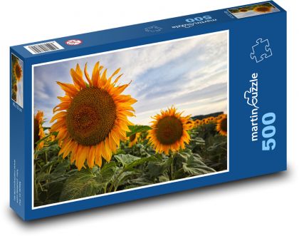 Slunečnice - květ, příroda - Puzzle 500 dílků, rozměr 46x30 cm