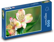 Kvet ľalie - rastlina, kvet Puzzle 500 dielikov - 46 x 30 cm 
