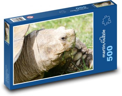 Żółw - gad, zwierzę - Puzzle 500 elementów, rozmiar 46x30 cm