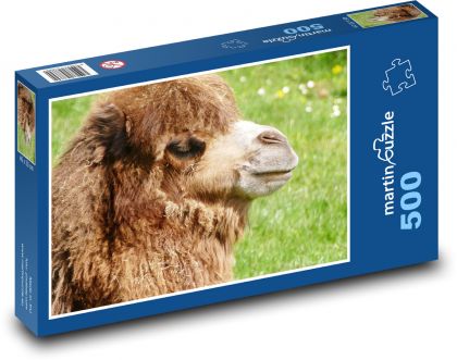 Velbloud - zvíře, savec - Puzzle 500 dílků, rozměr 46x30 cm