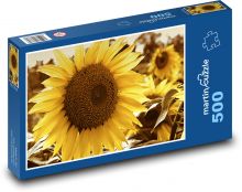 Slunečnice - květ, rostlina Puzzle 500 dílků - 46 x 30 cm