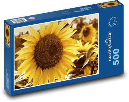 Slunečnice - květ, rostlina - Puzzle 500 dílků, rozměr 46x30 cm