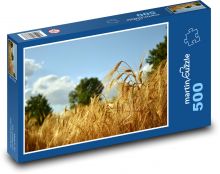 Obilné pole - ječmen, krajina  Puzzle 500 - 46x30 cm