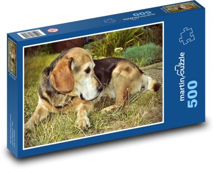 Dog - beagle, animal - Puzzle of 500 pieces, size 46x30 cm 