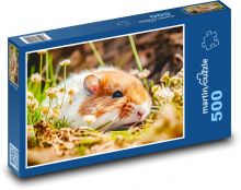 Křeček - hlodavec, myš Puzzle 500 - 46x30 cm