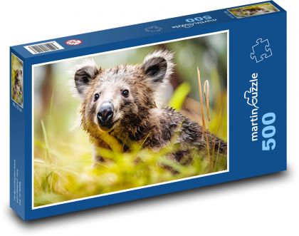 Koala - medvěd, savec - Puzzle 500 dílků, rozměr 46x30 cm