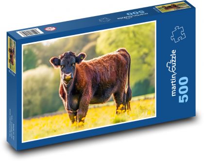 Cow - mammal, pasture - Puzzle of 500 pieces, size 46x30 cm 