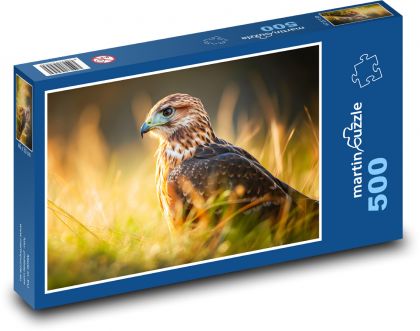 Orzeł - ptak, piórko - Puzzle 500 elementów, rozmiar 46x30 cm