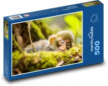 Spící opička - zvíře, strom Puzzle 500 dílků - 46 x 30 cm