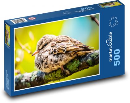 Pták - zvíře, zobák - puzzle 500 dílků