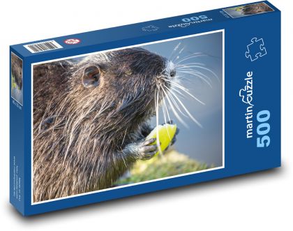 Nutrie - rodent, mammal - Puzzle of 500 pieces, size 46x30 cm 