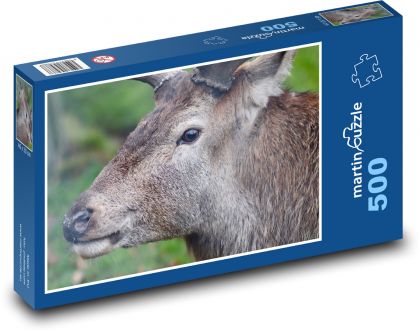 Hirsch - Tier, Wald - Puzzle - 500 Teile