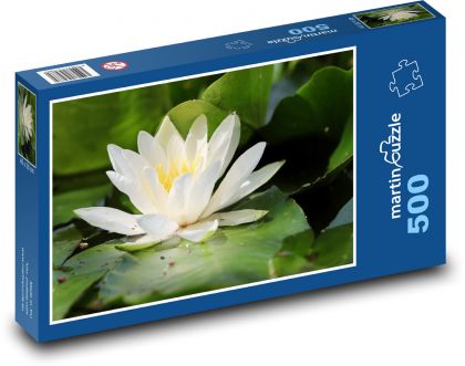 Seerose - Wasserpflanze, Blume - Puzzle - 500 Teile