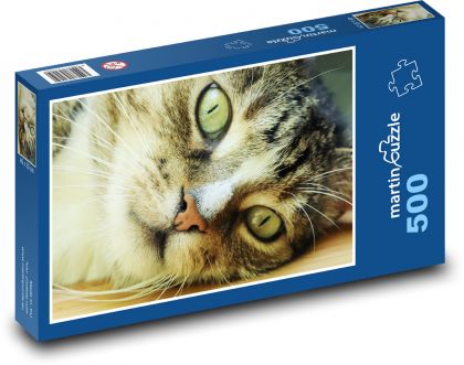 Domáca mačka - zviera, domáce zviera - Puzzle 500 dielikov, rozmer 46x30 cm 