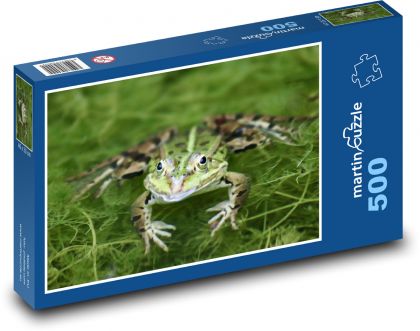 Zelená žába - vodní živočich, zvíře - Puzzle 500 dílků, rozměr 46x30 cm