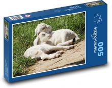 Kůzlata - koza, zvířata Puzzle 500 dílků - 46 x 30 cm