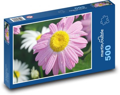 Chryzantéma - ružový kvet, kvet - Puzzle 500 dielikov, rozmer 46x30 cm 
