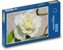 Bílá růže - květina, rostlina Puzzle 500 dílků - 46 x 30 cm