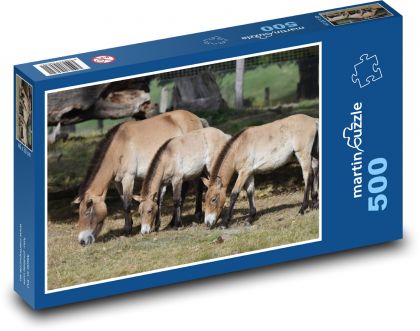 Prekrytý kôň, zviera - Puzzle 500 dielikov, rozmer 46x30 cm 