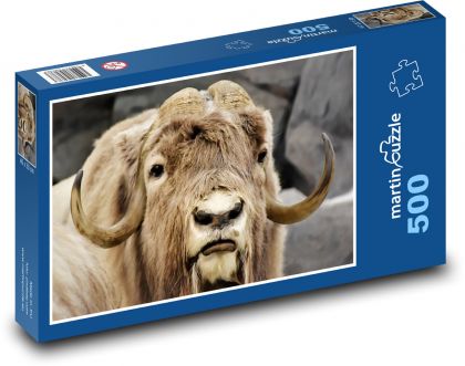 Pižmo - rohy, zviera - Puzzle 500 dielikov, rozmer 46x30 cm 