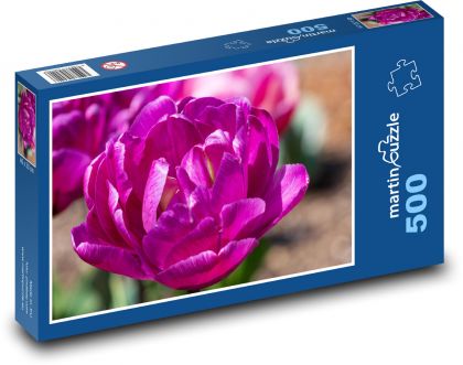 Fialové tulipány - květiny, jaro - puzzle 500 dílků
