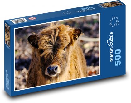 Vůl - zvíře, dobytek - Puzzle 500 dílků, rozměr 46x30 cm