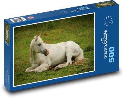 Biely kôň - žrebec, čistokrvný Arab - Puzzle 500 dielikov, rozmer 46x30 cm 