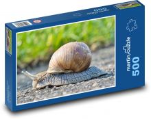 Hlemýžď - měkkýš, skořápka Puzzle 500 dílků - 46 x 30 cm